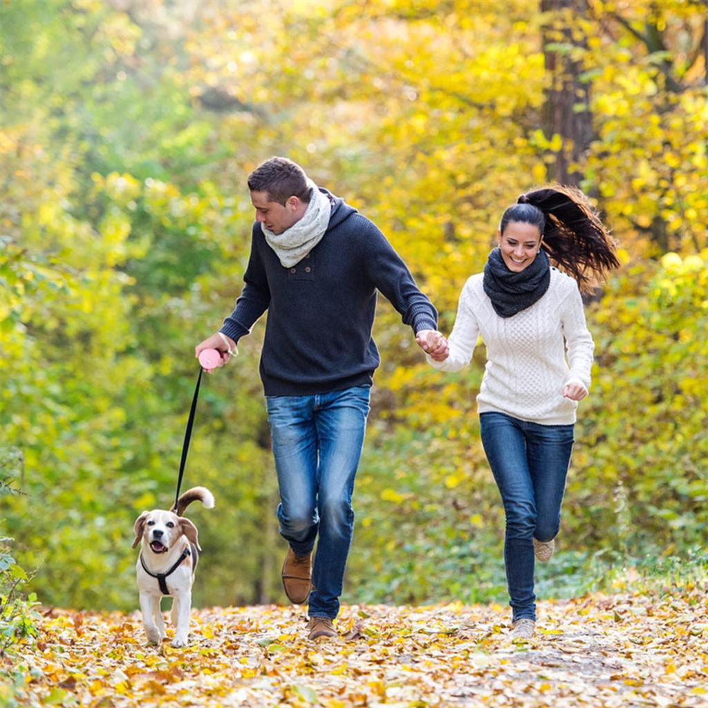 Retractable Dog Leash Automatic Freely  Puppy Cat Traction Rope Belt Dog Leash for Puppy and Kitty Pet Leash