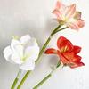 22" Real Touch Künstlicher Amaryllis-Strauß Langer Stiel Seidenblume mit 2 vollen Blüten und 1 Knospe für Haus Büro Vase Blumengestecke