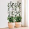 4 Packs Metal Garden Trellis for Climbing Plant Support 71x20 In Rustproof