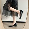 Leather Inner Height Increase French Pointed Head Shallow Mouth Single Shoes Women's Spring and Autumn Versatile Not Tired Feet Thick Heel Low Heel 