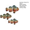 3 Pcs Wooden Tropical Fish Wall Art Coastal Hanging Clownfish Wall Decor Nautical