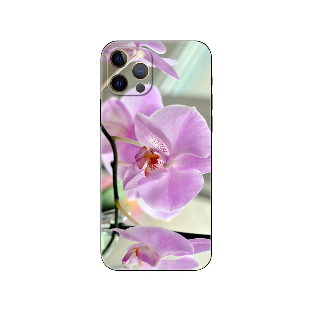 Orchid Flowers Colorful Phone Case for Iphone 5 5s 2020se 6 6s 7 8 Plus X 10 XR XS 11 12 13 Mini Pro MAX Black Tpu Back Cover