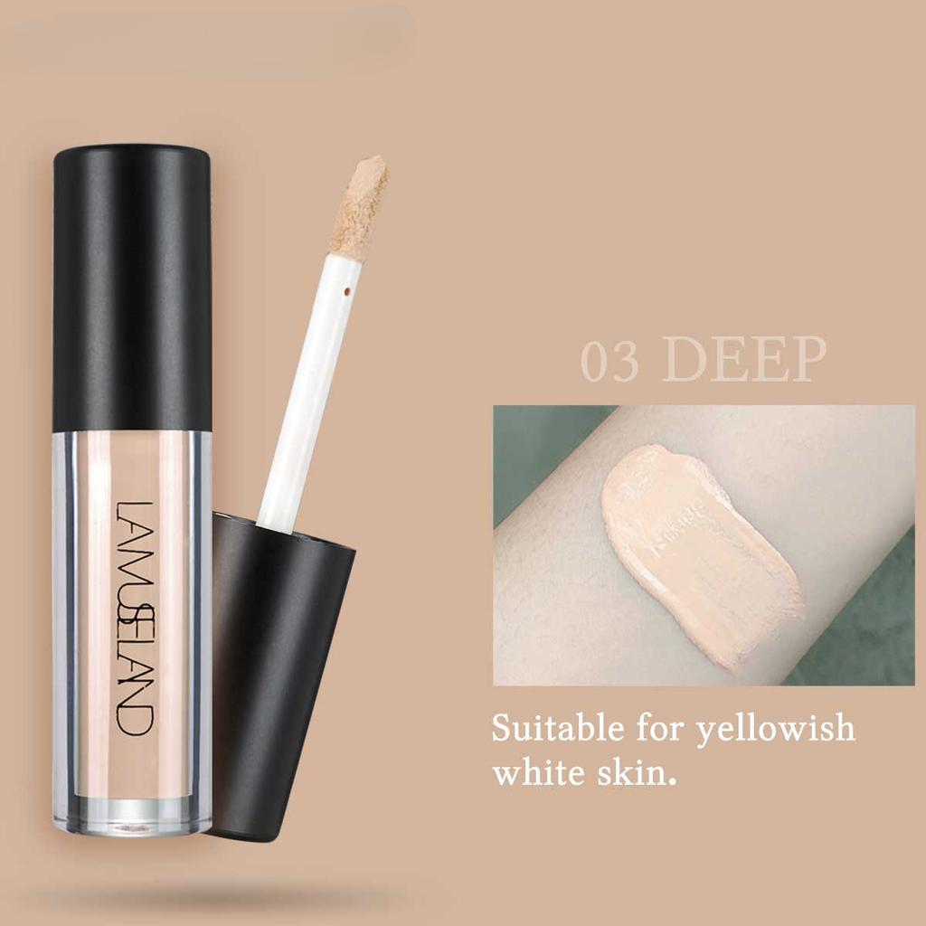 4 Farben Flüssiger Concealer Gesichtsschönheit Gesichts-Make-up Kosmetik Verstecken Sie den Makel