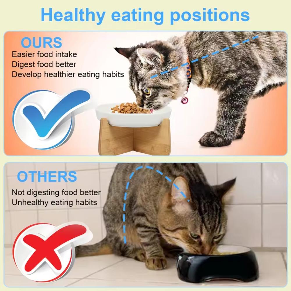 Anti-choking Slow Feeder Bowl Ceramic Cat Feeding Bowl Anti Vomiting Bowl  for Cats Dogs