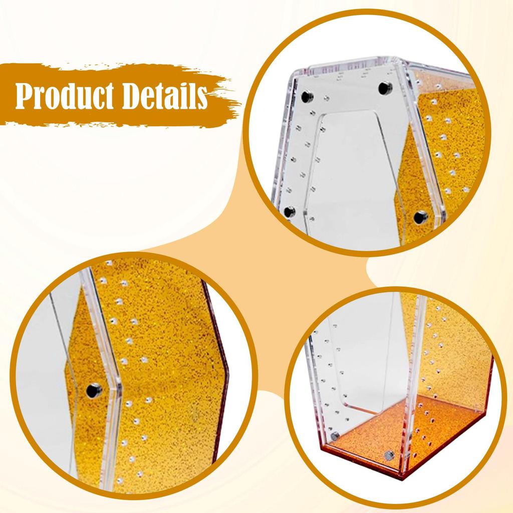 Jumping Spider Enclosure Acrylic Reptile Terrarium Amphibian Habitat Container Small Aquarium Box for Praying Breeding Home