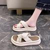 Thick-soled Cool Slippers for Women's Summer Wear 2025 New Fashionable Versatile Fairy Style with Skirt One-word Beach Shoes