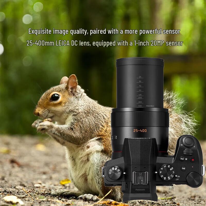 

Panasonic Lumix FZ1000 II 4K Bridge Camera (версія CN)