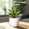 YOUXUANLIPIN Inch Round Ceramic Planter with Drainage for Indoor Light Nordic for Houseplants 5.5 Saucer, Hole, White, Plants, White, Surface,