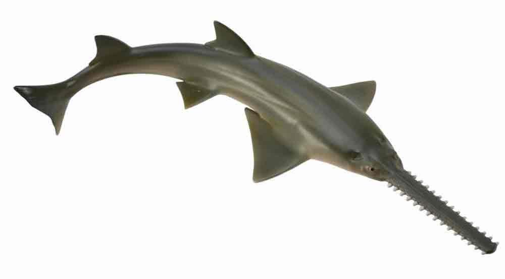 Collcta Figure Sawfish 88659 (Collector)