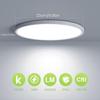 24W Round LED Ceiling Light, 6500K Ceiling Light, 2400LM Modern Light, Living Room, Bedroom, Kitchen, IP44, 23cm