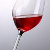 Personalized Crystal Diamond High-Stem Red Wine Glass Gift Set