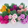 High-Quality Artificial Geranium & Begonia Flowers for Home & Outdoor Decor