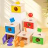 Holzobjekt Dauerhafte Box Montessori Spielzeug Baby Sortieren Zuordnen Box Ball Münze Sensorisch Dropsy Farbe Form Lernspiele Kind