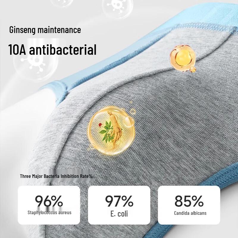 Men's Anti-Bacterial Cotton Briefs 3-Pack