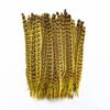 10Pcs Colorful Natural Female Pheasant Feathers for Decoration Crafts Long Chicken Feather Decor Carnival Accessories Decoration
