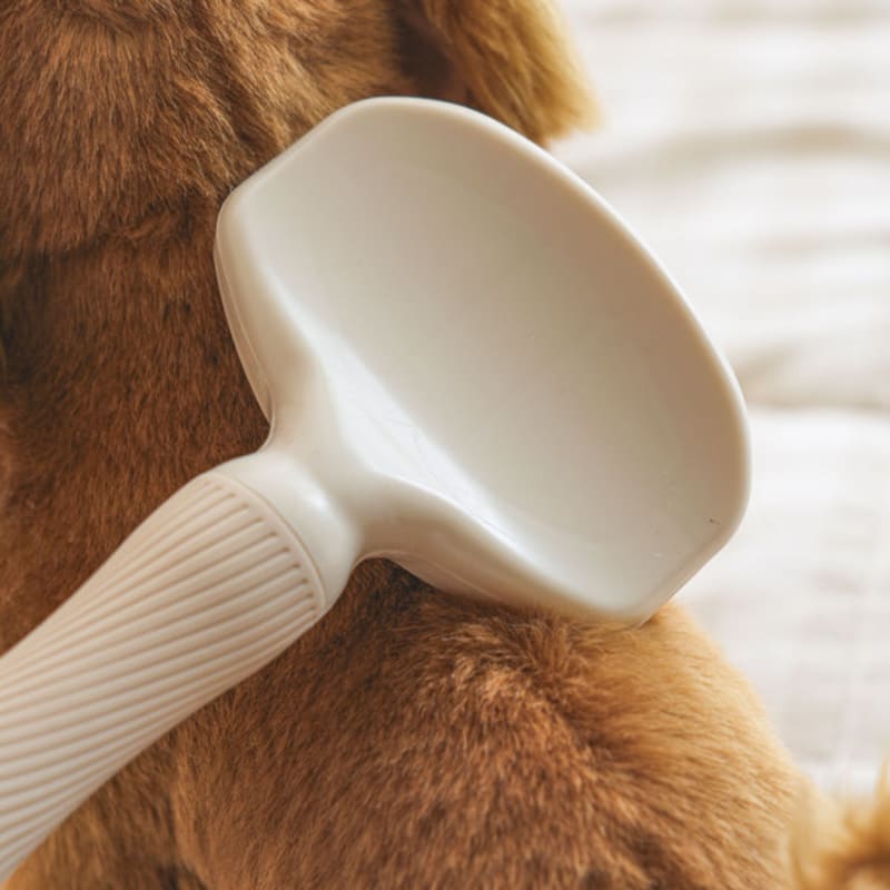 [Animale de companie] Pieptene de masaj mărime medie