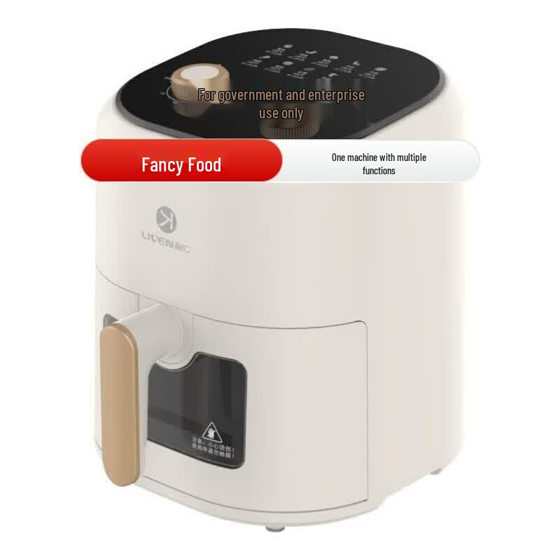 Liren Air Fryer