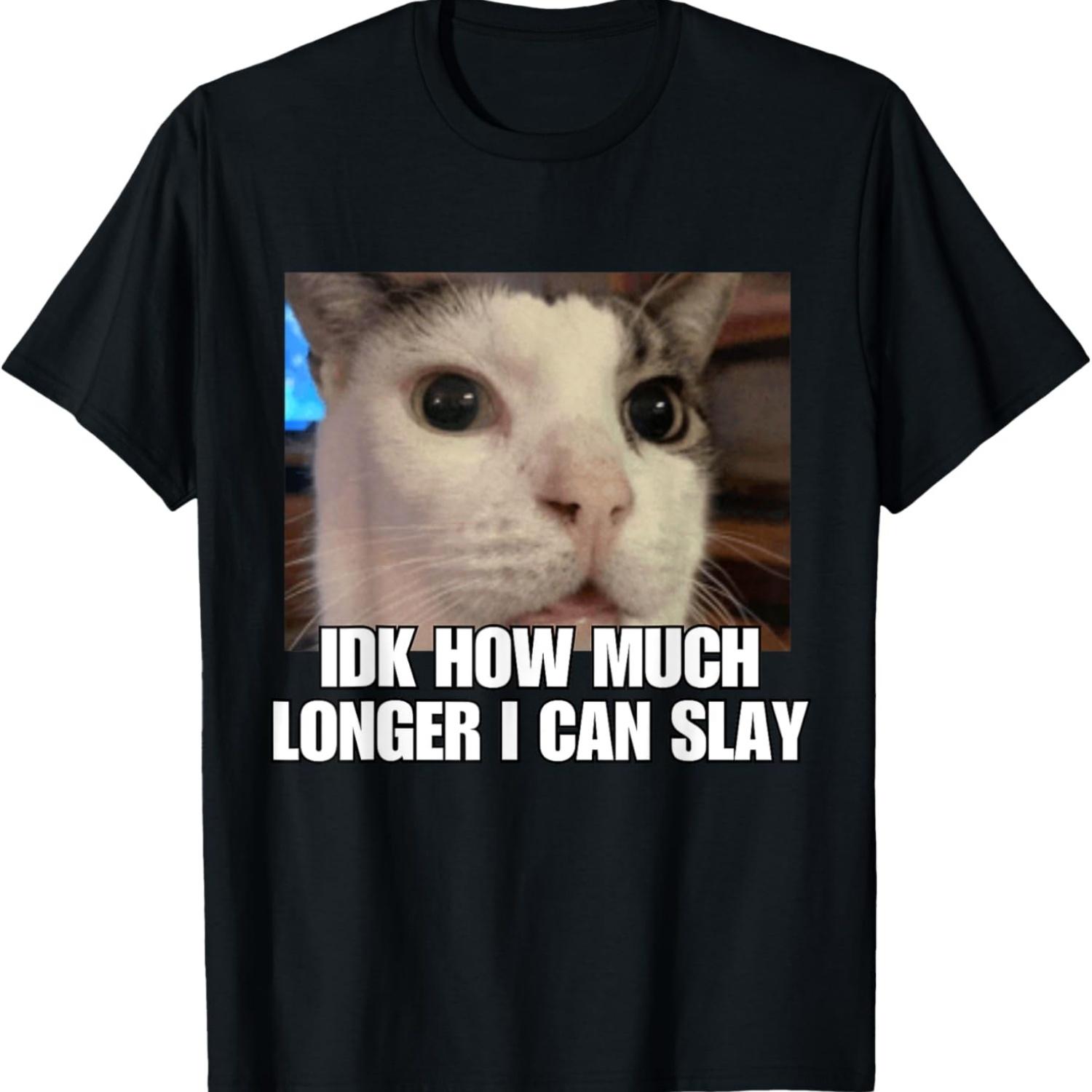 

IDK How Much Longer I Can Slay Funny Cat Meme T-Shirt XXXXXL