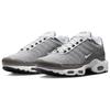 Nike Air Max Plus SE Flat Pewter Pánské tenisky Šedá Photon-Dust Černá DV7665-002