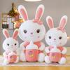 Adorable White Bunny Plush Pillow - Cute Rabbit Doll for Kids' Birthday Gift