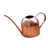 Watering Can for Indoor Plants Orchid Bonsai Stainless Steel Small Watering Can