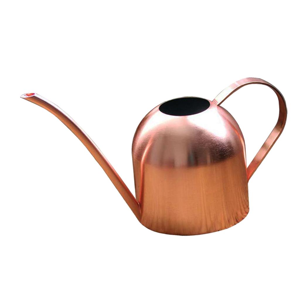Watering Can for Indoor Plants Orchid Bonsai Stainless Steel Small Watering Can