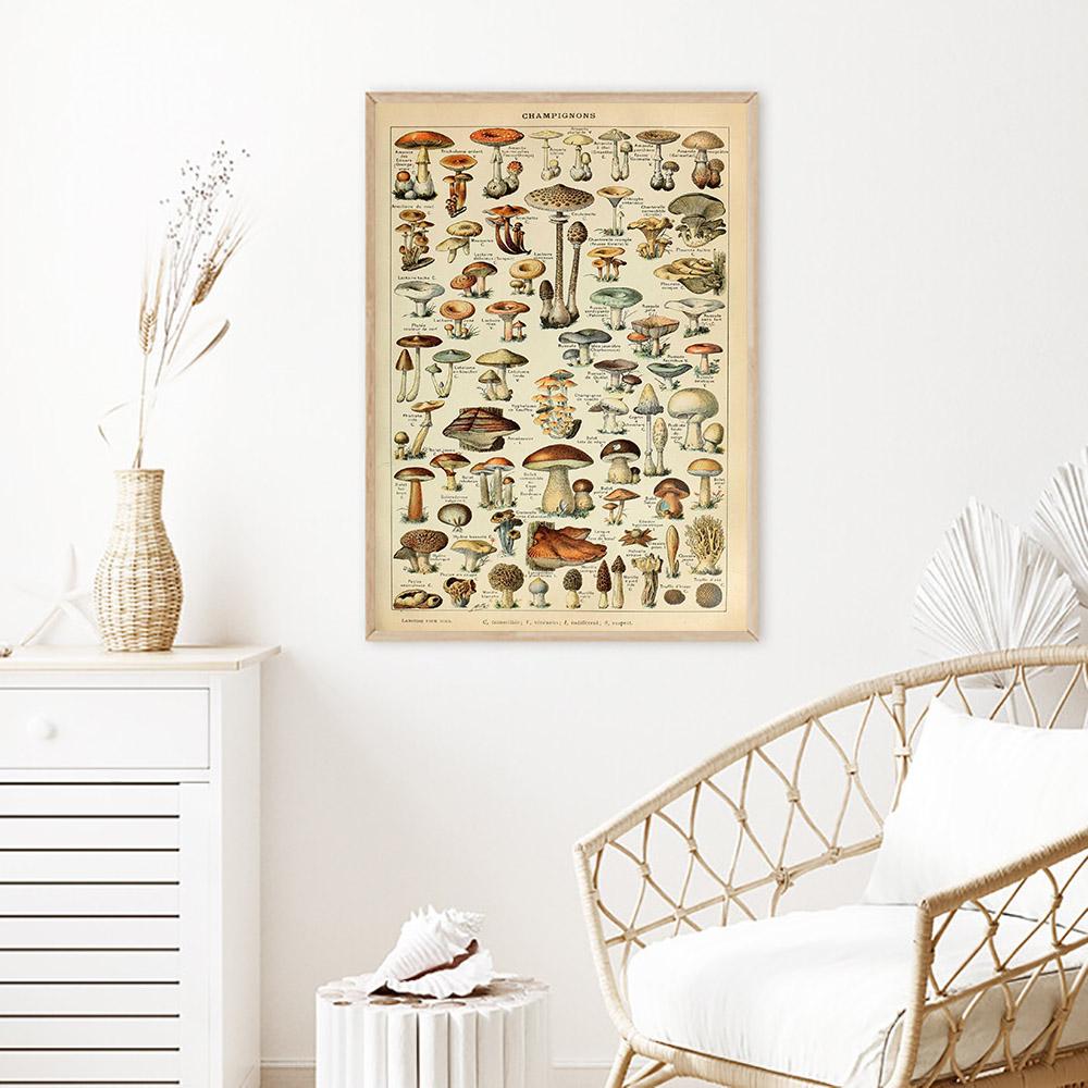 Antique Botanical Print Flowers Fruit Mushrooms Posters Vintage French Educational Wall Art Canvas Painting Pictures Home Decor