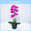 Artificial Phalaenopsis Aphrodite Rchb Potted Plant  For Gift And Interior Decor