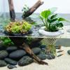 Panier à Plantes Hydroponiques en Plastique Imprimé en 3D Jardinière Symbiose Poisson-Plante Cadeau