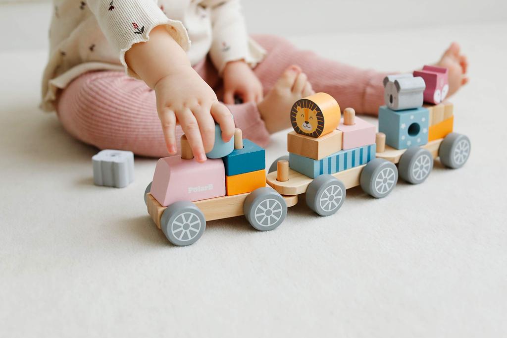 The Original Toy Company PolarB Building Block Train 0 TYPR44015