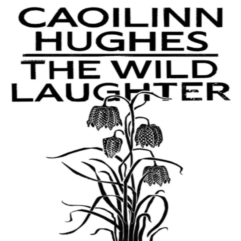 The Wild Laughter by Caoilinn Hughes Hardback Book 9781786077806