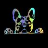 Autoaufkleber Pfoten hoch Französische Bulldogge Frenchie Bully Hund Dekoration Vinyl Aufkleber Reflektierend Laser 3D Autoaufkleber Auto Styling