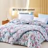 Fuanna Gantang 90% Duck Down & Silk 2-in-1 Antibacterial Comforter