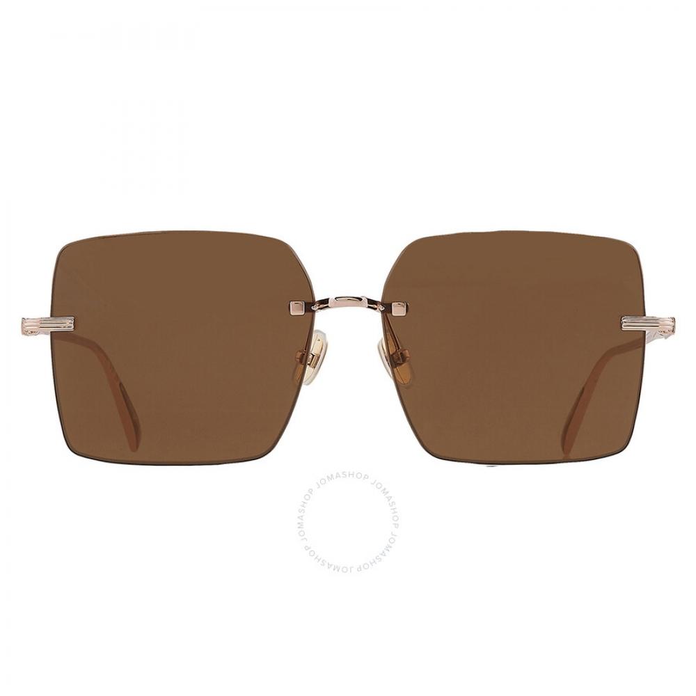 

Salvatore Ferragamo Brown Square Ladies Sunglasses SF311S 780 60