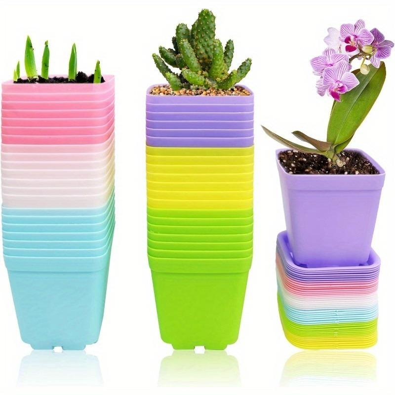 21 Set Vibrant Seedling Containers Colorful Square Plastic Flower Pots for Growing Succulent Plants with Trays Room Garden Decor