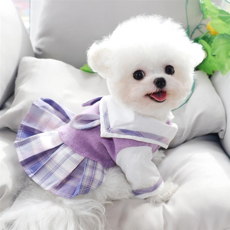Princess Skirt Puppy Clothes Spring And Autumn Teddy Bichon Pomeranian Schnauzer Small Puppy Pet Autumn And Winter
