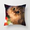 Cute Cat Sofa Pillowcase Cushion Cover     Bed Home Living Room Car Office