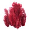 Mixed Color Chicken & Peacock Feathers for DIY Ornaments, Handicrafts, and Handmade Clothing Accessories.