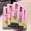 Maquilhagem para lábios – Gloss