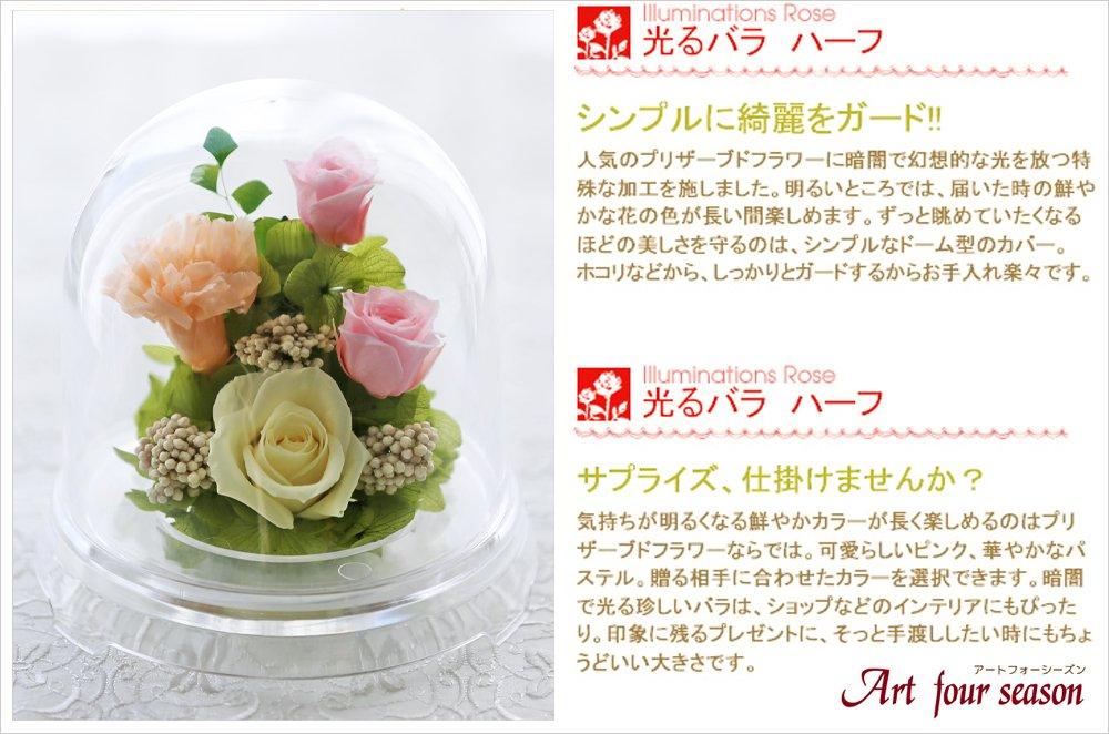 Art for Seasons Half "Glowing Rose" Firefly Pastel Blue Glowing Preserved Flower