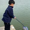 Corrosion-resistant Pocket Fish Dip Net Portable Shrimp Catching Nets Sturdy Dip Net Poles  Kids