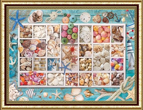 [AN-diaart] Алмазная мозаика, В рамке, Печатная | 42 x 60см A2 Квадратные стразы | Набор для самостоятельного творчества, подходит для начинающих | Коллекция Ракушек AM-563