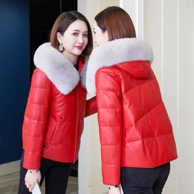 Mäntel & Jacken – Jacken