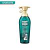 Ryo Green Tea Scalp Soothing Oil Control Shampoo Set