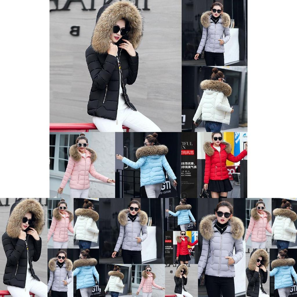 Womens Short Slim Quilted Winter Coat With Fur Hooded Collar And Stylish Design