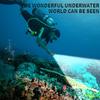 D2 Scuba Diving Flashlight Dive Torch Snorkeling Light 3 Modes IPX8 Waterproof Underwater Lantern LED Flashlight Work light