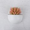 Creative Wall Mounted Acrylic Vase Wall Hanging Planter Plant Flower Pot Holder