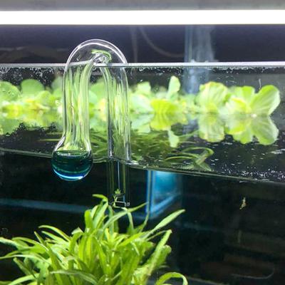 Accessori per acquari per acquario, rilevatore di apparecchiature per acquari, rilevatore di co2 diffuso, controllore diffuso