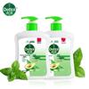 Dettol Kids Antibacterial Hand Wash, Botanical Formula