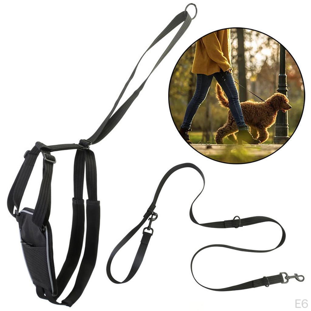 Dog Harness, Adjustable Breathable Puppy Harness with for Outdoor Training, Walking and Hiking